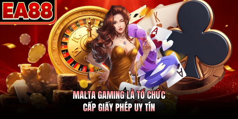 Malta Gaming là tổ chức cấp giấy phép uy tín
