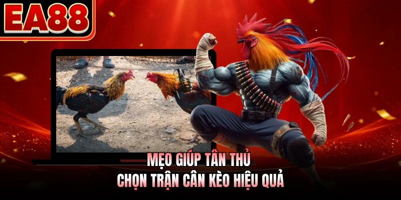 Mẹo giúp tân thủ chọn trận cân kèo hiệu quả