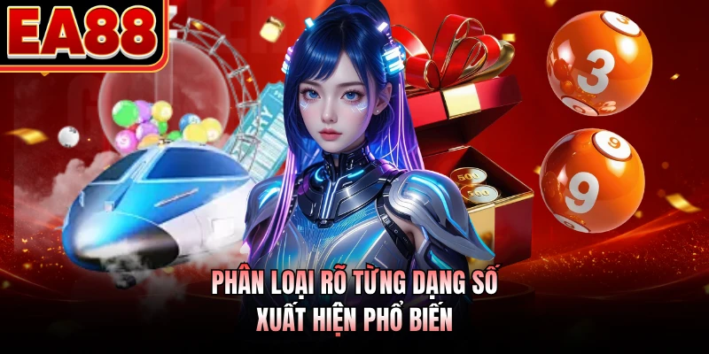 Phân loại rõ từng dạng số xuất hiện phổ biến