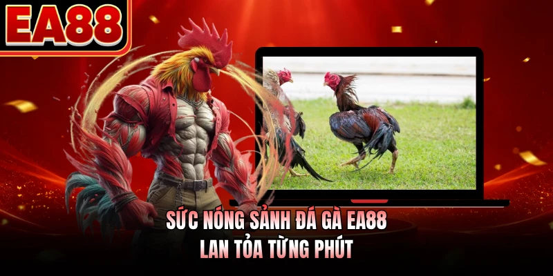 Sức nóng sảnh đá gà EA88 lan tỏa từng phút